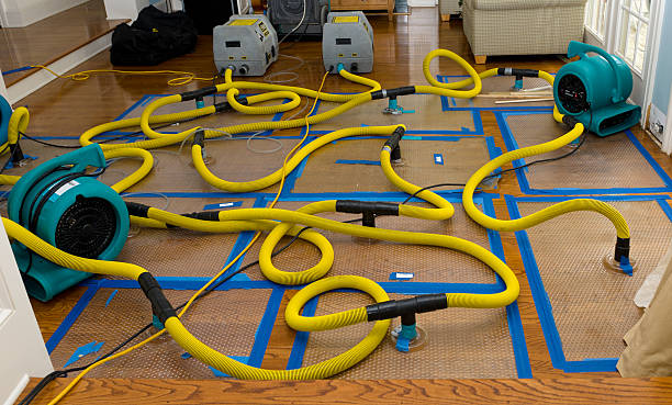 Professional Burst Pipe Water Damage technician working in Taunton, MA